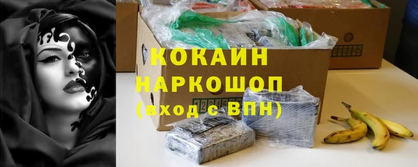 сатива Белокуриха