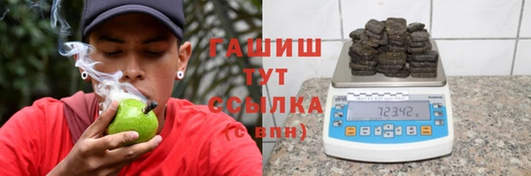 сатива Белокуриха