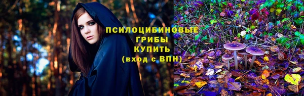 spice Белоозёрский