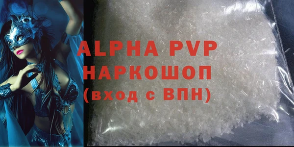 сатива Белокуриха
