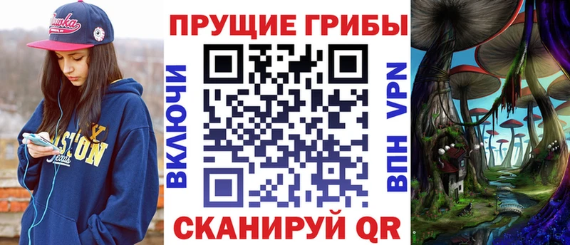 Псилоцибиновые грибы MAGIC MUSHROOMS  Куртамыш 